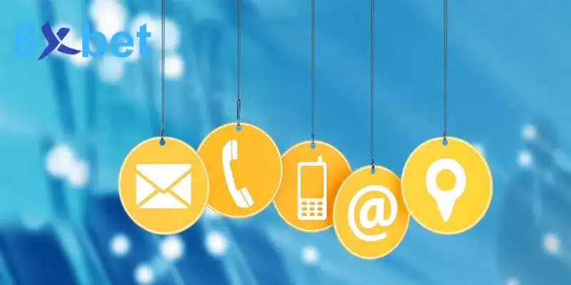 Hướng Dẫn Cách Liên Hệ Đội Ngũ Hỗ Trợ Nhanh Tại 8XBET Giải đáp thắc mắc quen thuộc khi liên hệ nhà cái 8XBET